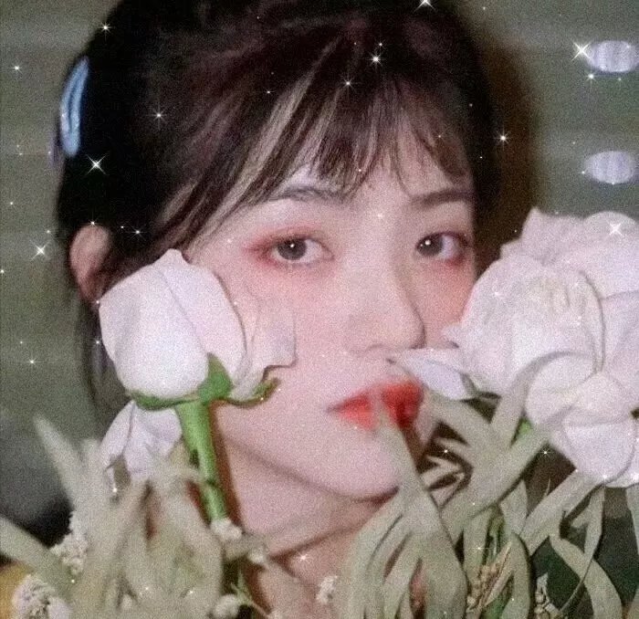 瑶台仙韵